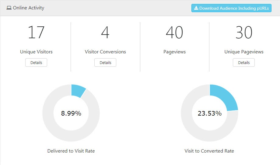Campaign Dashboard Online Activity