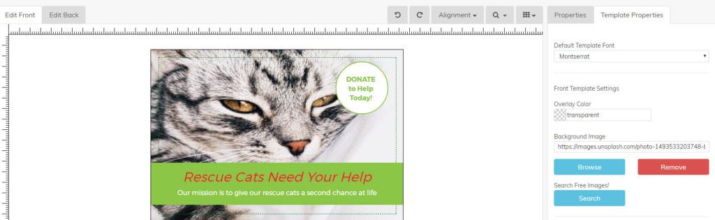 Cat Image on postcard