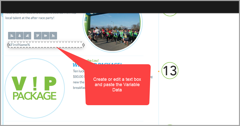 Paste Variable Data Into Text Box